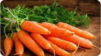 Product Image That We Deliver - Carrot